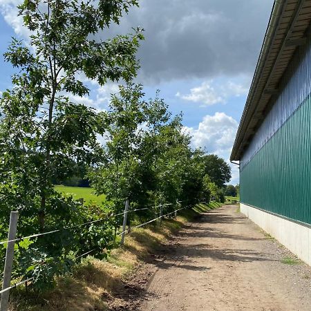 Ferienwohnung An Der Reitanlage Glashutte  Dış mekan fotoğraf